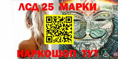 индика Боровичи