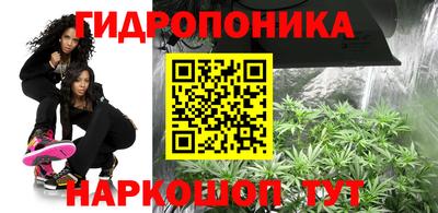 индика Боровичи