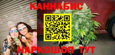 индика Боровичи