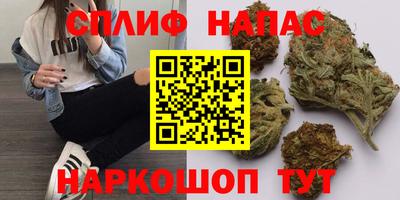 индика Боровичи