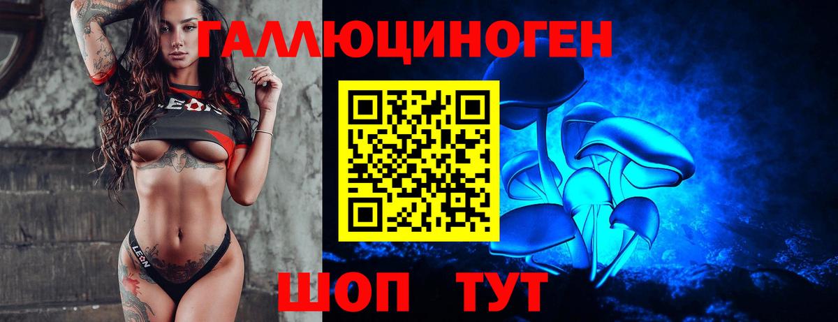 Псилоцибиновые грибы GOLDEN TEACHER Гусь-Хрустальный