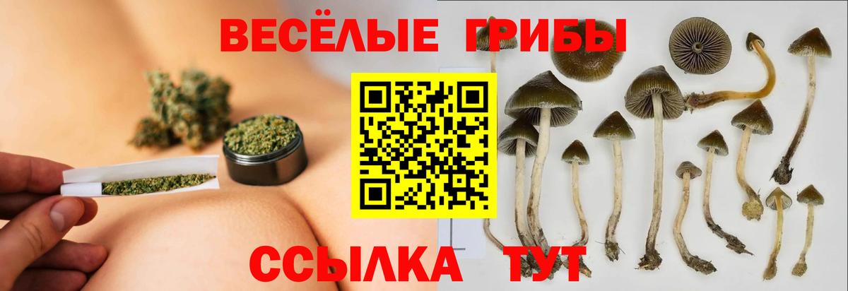 Галлюциногенные грибы Psilocybe  Галлюциногенные грибы Psilocybine cubensis  где найти наркотики  Вход с VPN  Гусь-Хрустальный 